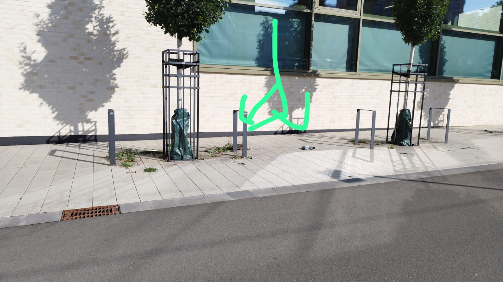 Markierungen von toten Vögeln vor einem Gebäude