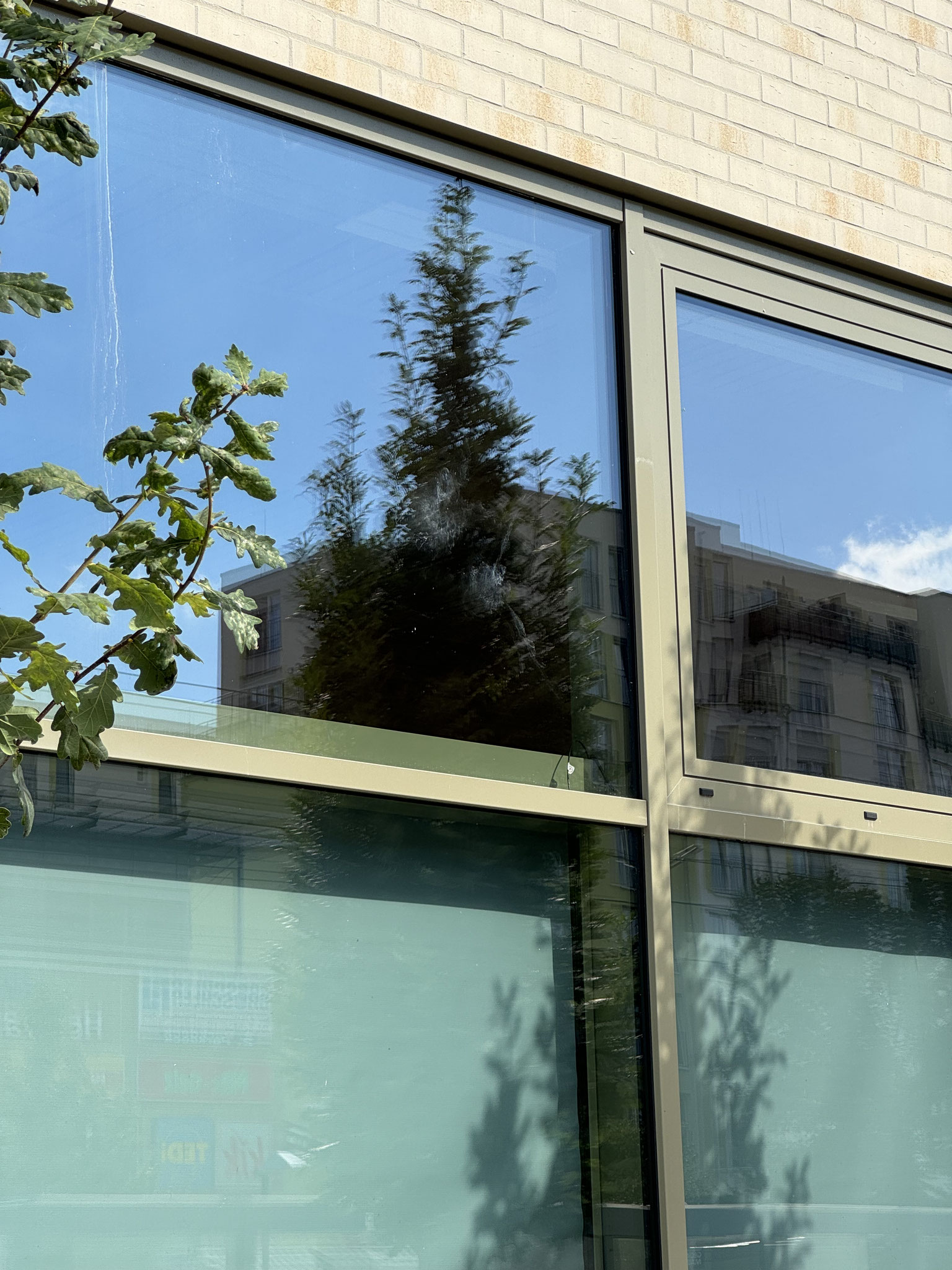 Scheibe mit Vogelschlagabdruck